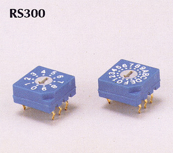 rotarydipswitch_RS300_big.gif
