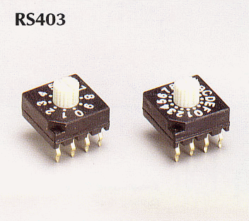 rotarydipswitch_RS403_big.gif